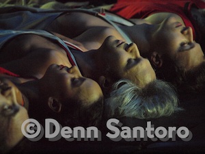 Megawatt #7 Pilobolus Series By Denn Santoro